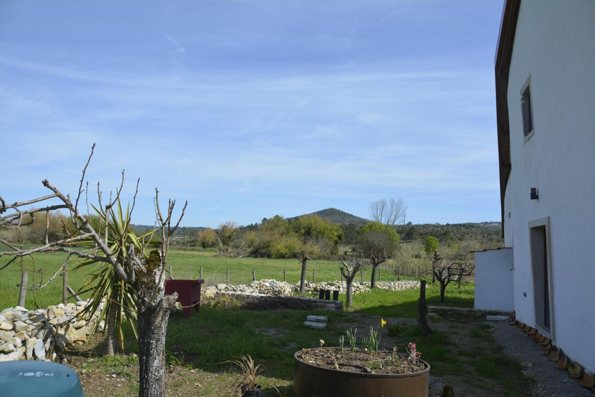 Casa Da Lima - Nestled In Nature On Santiago'S And Fatima'S Path, Close To Coimbra And Rabacal Alvorge Exterior photo