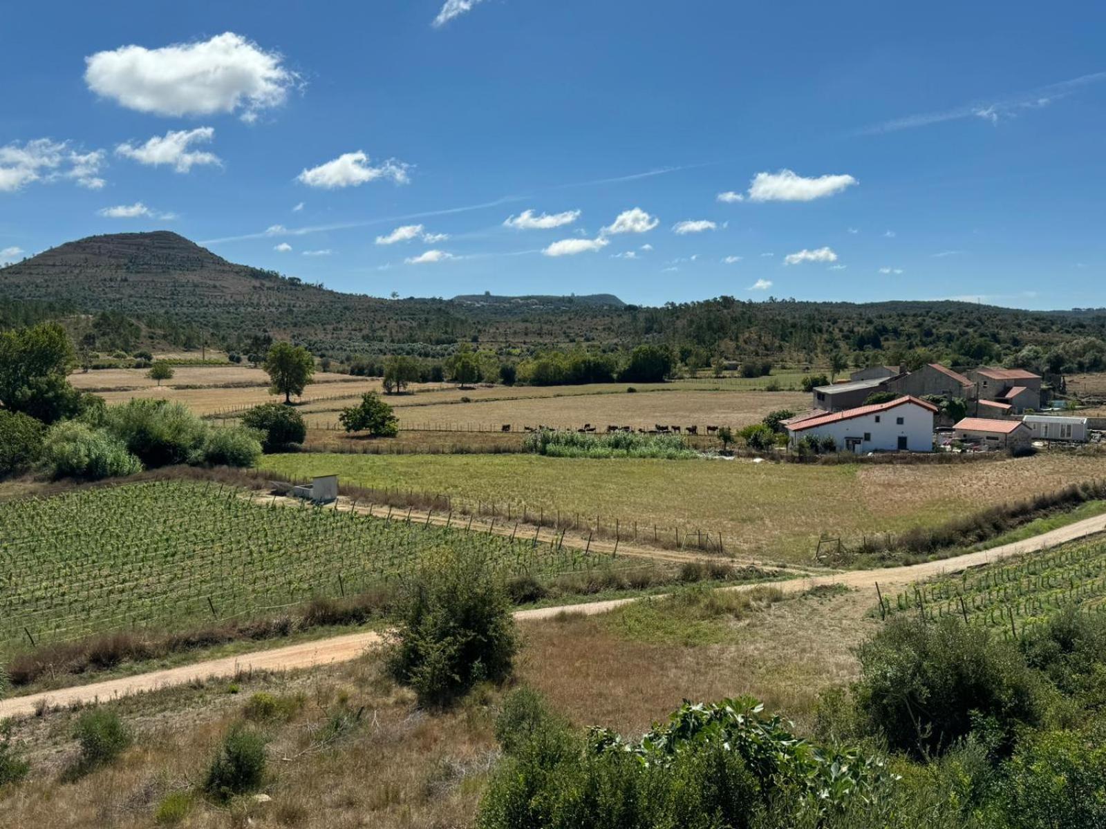Casa Da Lima - Nestled In Nature On Santiago'S And Fatima'S Path, Close To Coimbra And Rabacal Alvorge Exterior photo