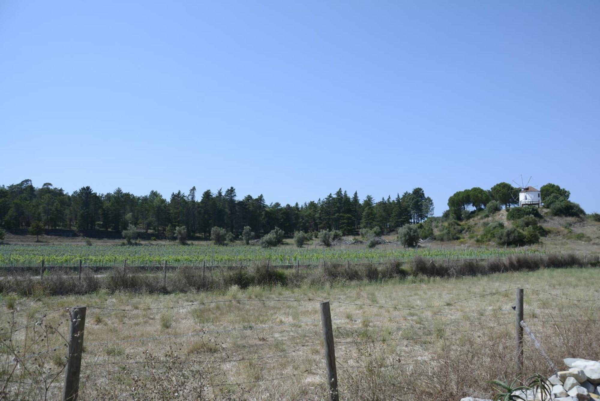 Casa Da Lima - Nestled In Nature On Santiago'S And Fatima'S Path, Close To Coimbra And Rabacal Alvorge Exterior photo