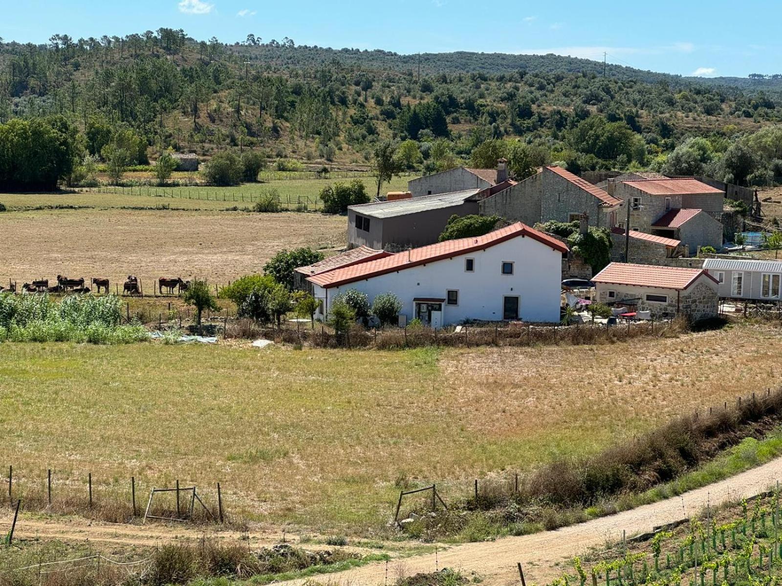 Casa Da Lima - Nestled In Nature On Santiago'S And Fatima'S Path, Close To Coimbra And Rabacal Alvorge Exterior photo