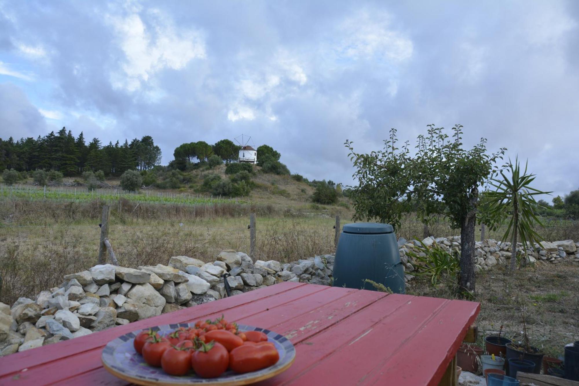 Casa Da Lima - Nestled In Nature On Santiago'S And Fatima'S Path, Close To Coimbra And Rabacal Alvorge Exterior photo