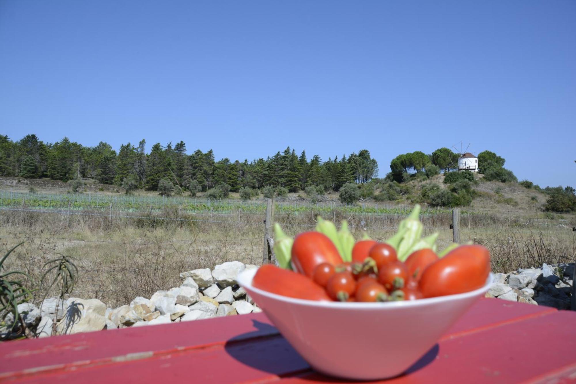 Casa Da Lima - Nestled In Nature On Santiago'S And Fatima'S Path, Close To Coimbra And Rabacal Alvorge Exterior photo