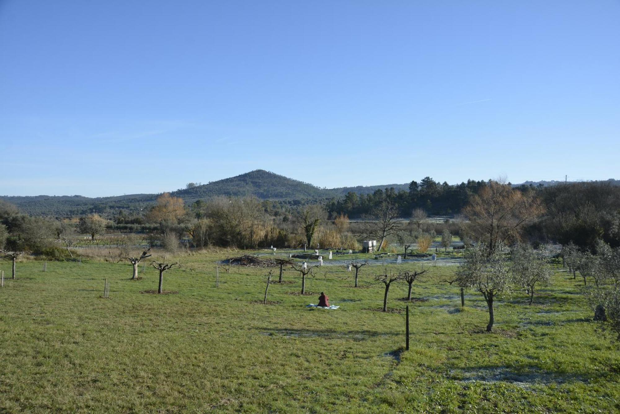 Casa Da Lima - Nestled In Nature On Santiago'S And Fatima'S Path, Close To Coimbra And Rabacal Alvorge Exterior photo